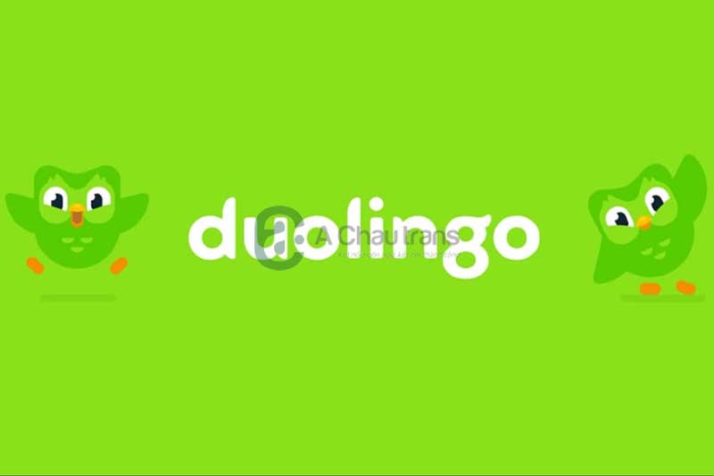 Duolingo: Web học tiếng Pháp online miễn phí