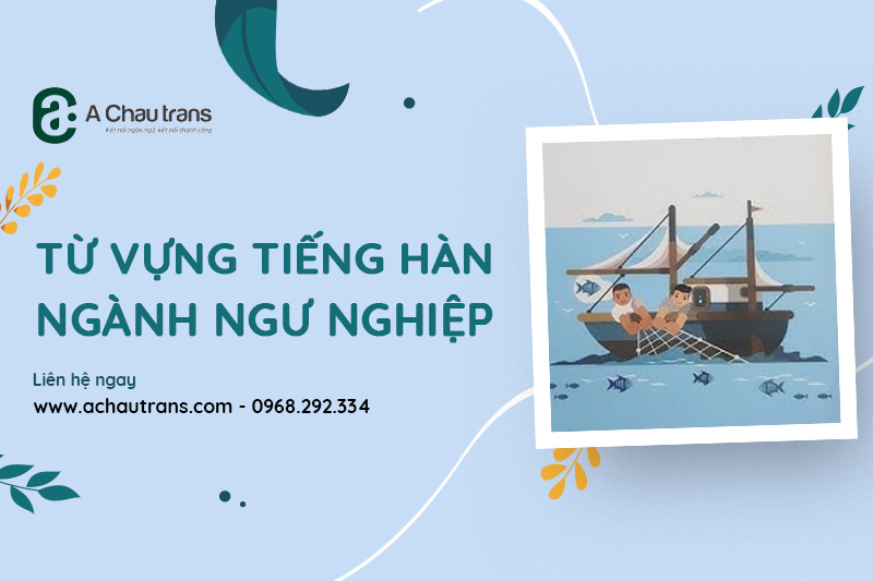 Tổng hợp 120+ từ vựng tiếng Hàn chuyên ngành ngư nghiệp