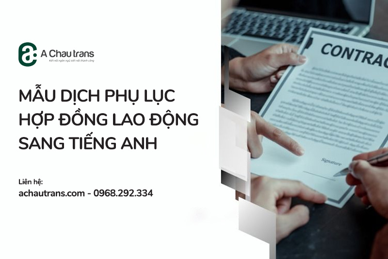 Mẫu dịch Phụ lục Hợp đồng Lao động sang tiếng Anh