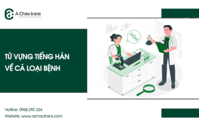 Tổng hợp từ vựng tiếng Hàn về các loại bệnh