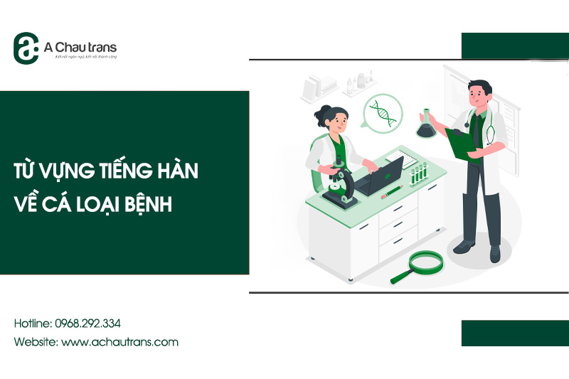Tổng hợp từ vựng tiếng Hàn về các loại bệnh