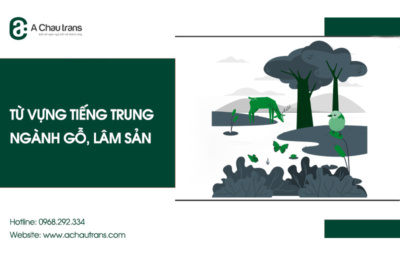 Từ vựng tiếng Trung chuyên ngành gỗ, lâm sản