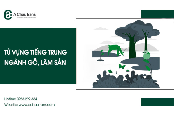 Từ vựng tiếng Trung chuyên ngành gỗ, lâm sản
