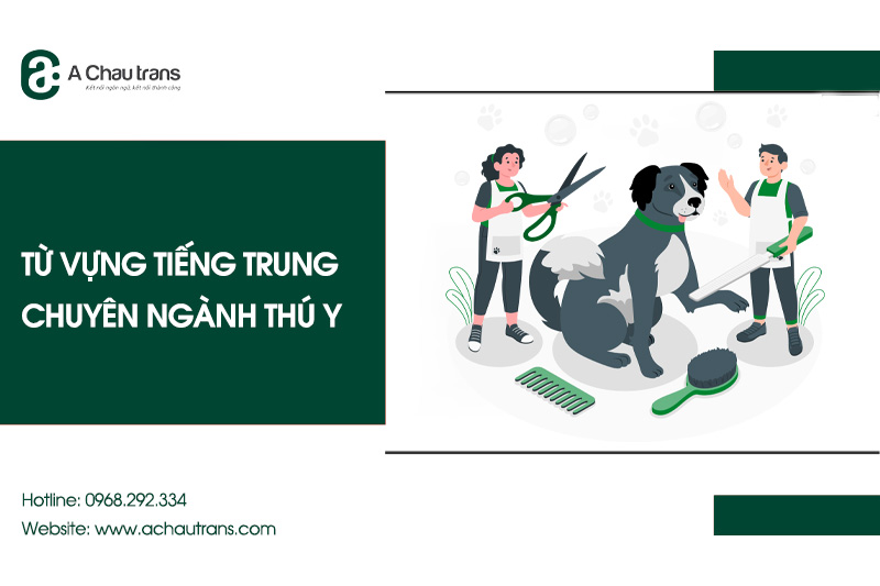 Từ vựng tiếng Trung chuyên ngành thú y