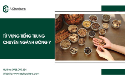 Từ vựng tiếng Trung chuyên ngành Đông Y