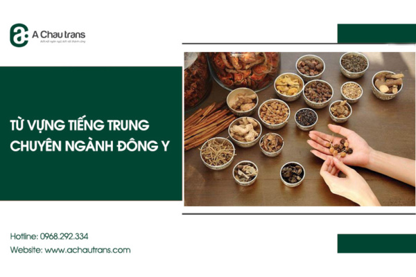 Từ vựng tiếng Trung chuyên ngành Đông Y