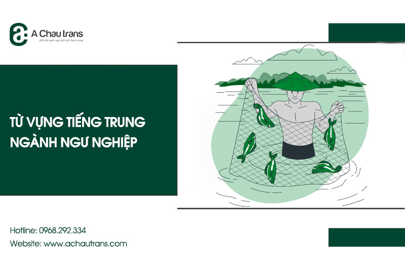 Từ vựng tiếng Trung chuyên ngành ngư nghiệp